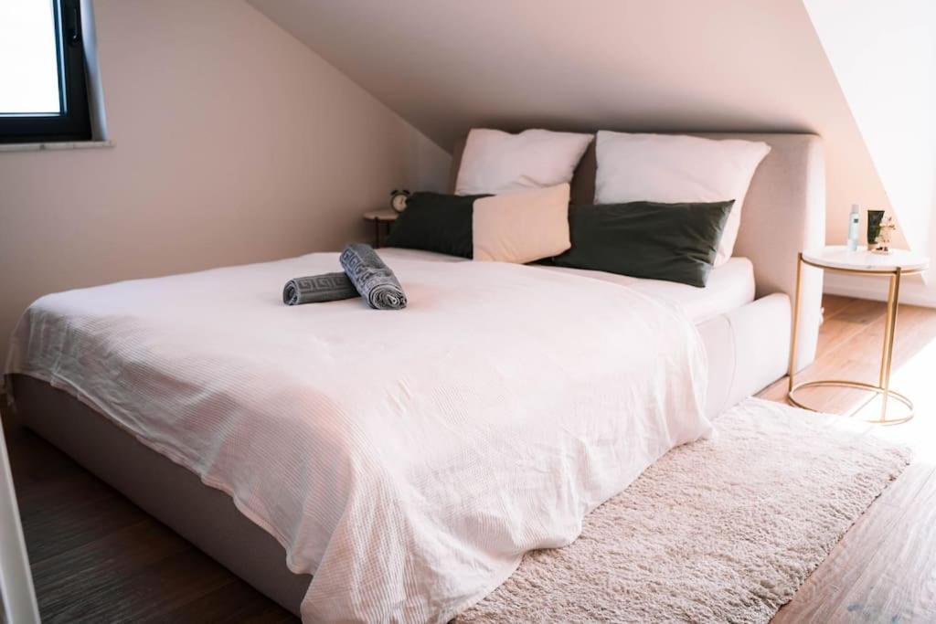 Luxusapartment In Backnang Mit Wellness Buitenkant foto